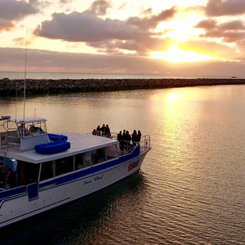 a small boat in a large body of water