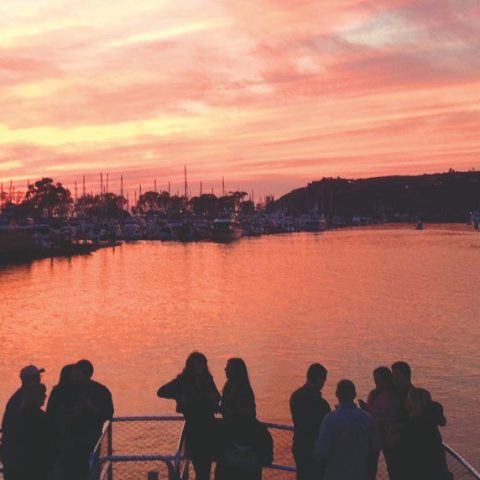 a group of people walking across a bridge over a body of water